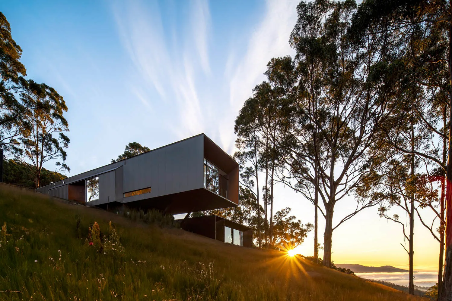 Modern residential house with a metal and glass exterior, situated on a grassy hillside with tall trees and a sunset.