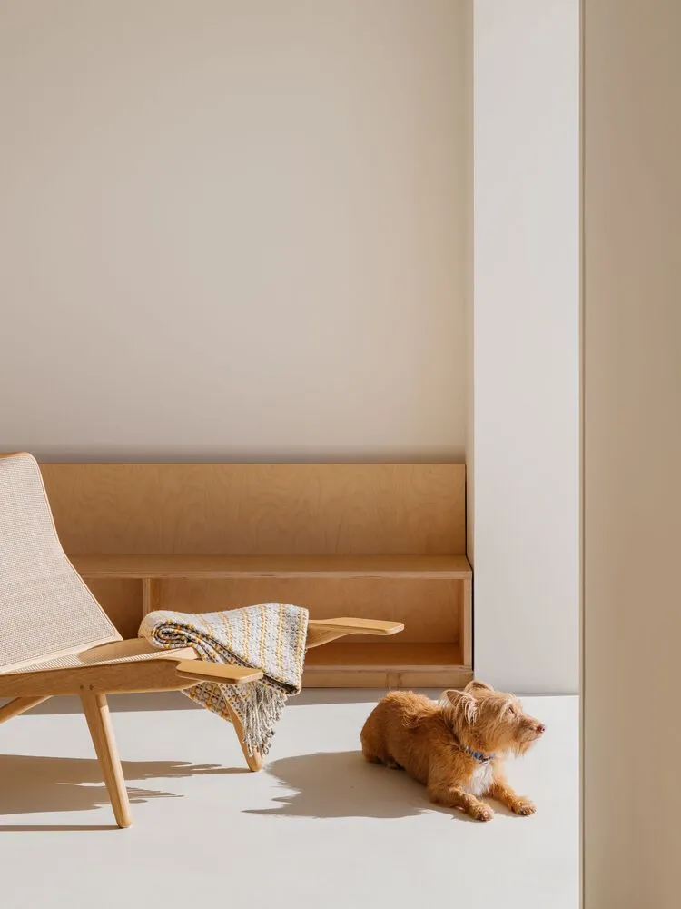 A minimalist residential interior featuring a wooden chair and bench, a wool blanket, and a small dog.