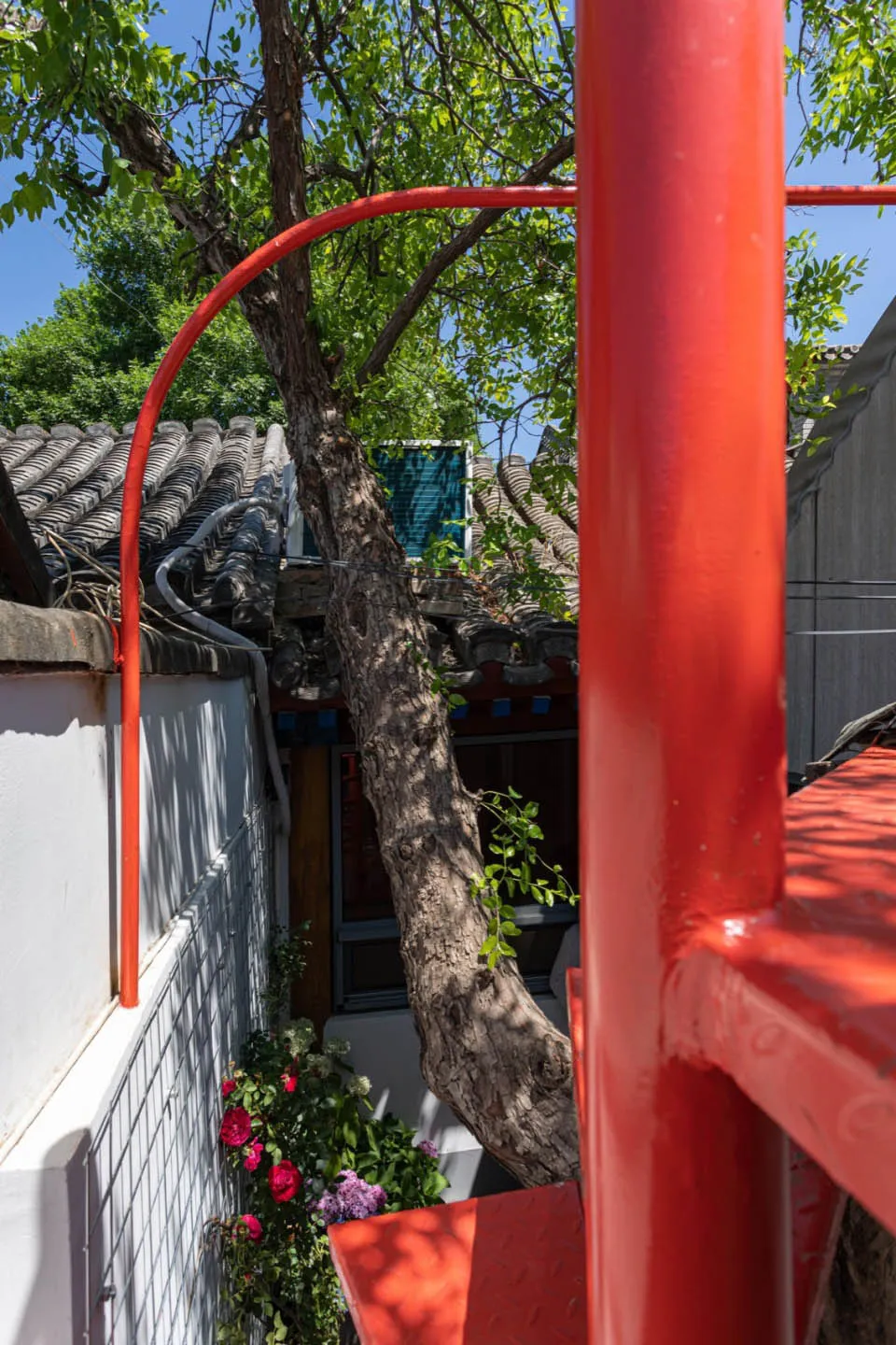 一座混凝土建築,中央有一棵大樹穿過,環繞著綠意盎然的植栽。