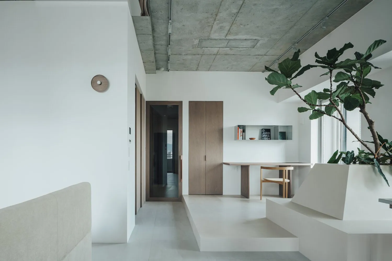 Modern minimalist living room with concrete walls and open space, featuring a sleek, white sofa and a tall indoor plant.