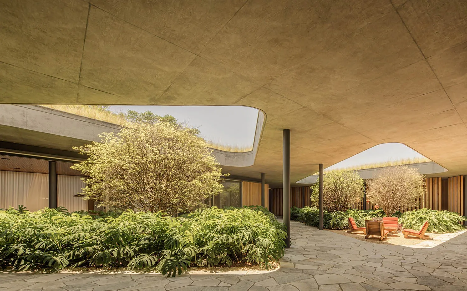 A modern living space featuring concrete flooring and numerous green plants
