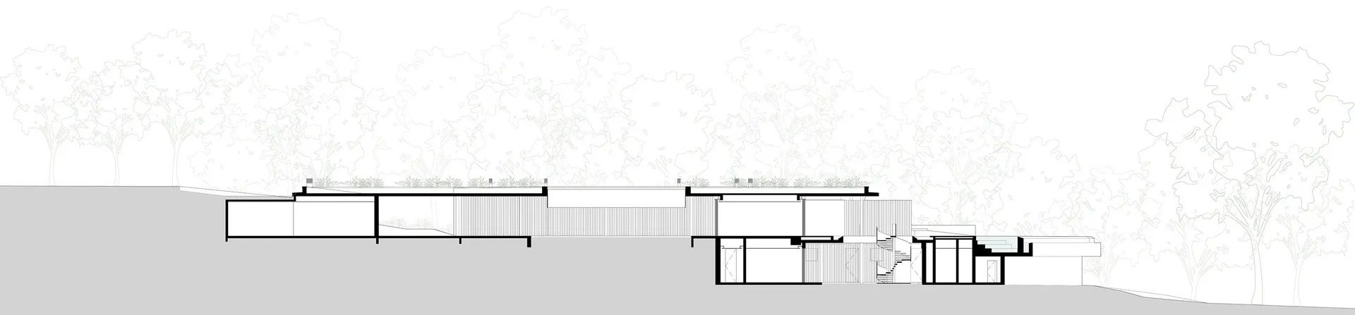 現代外觀建築設計,採用自然木質元素。