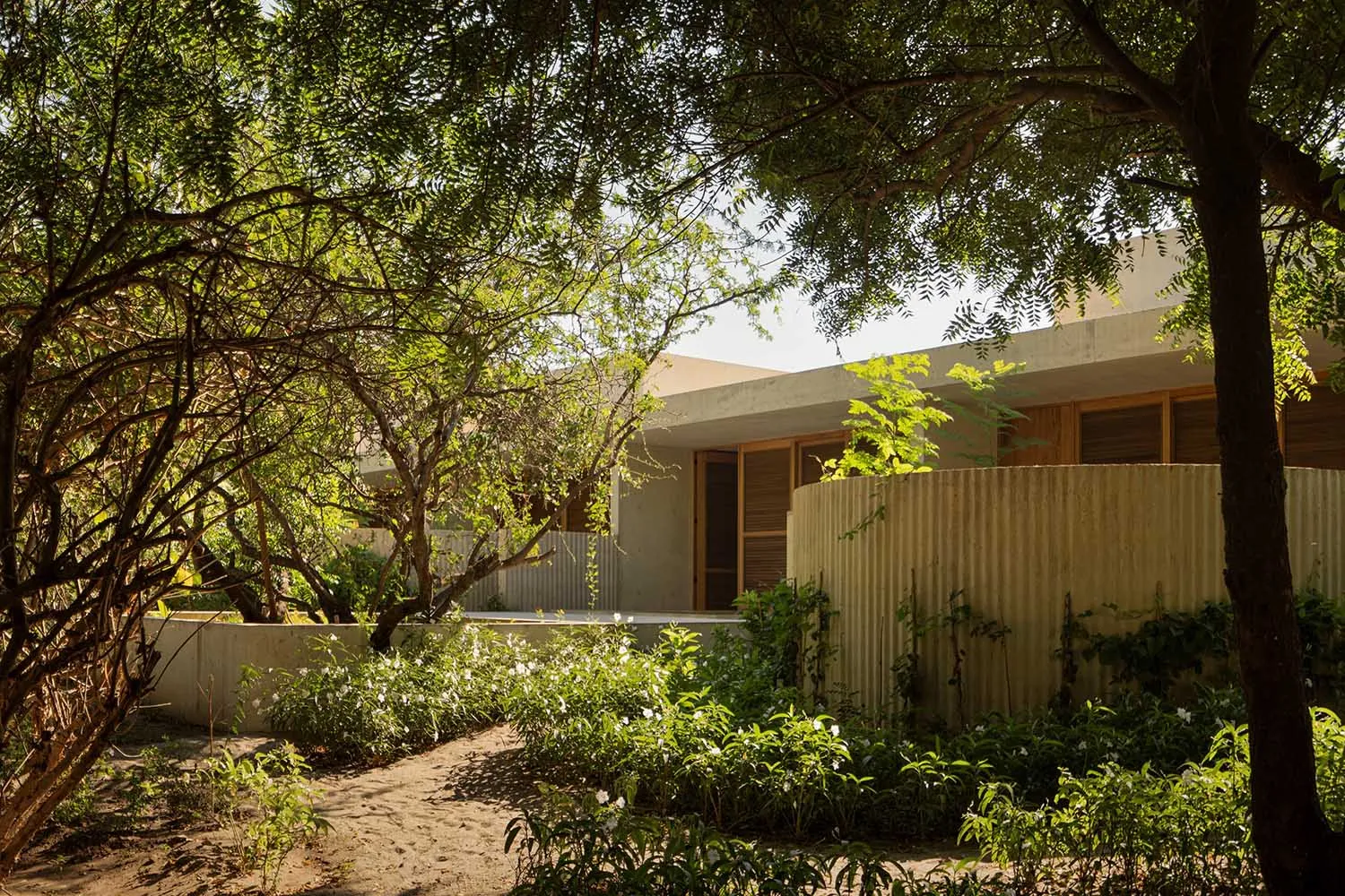 A modern residential exterior with corrugated metal siding and lush greenery.