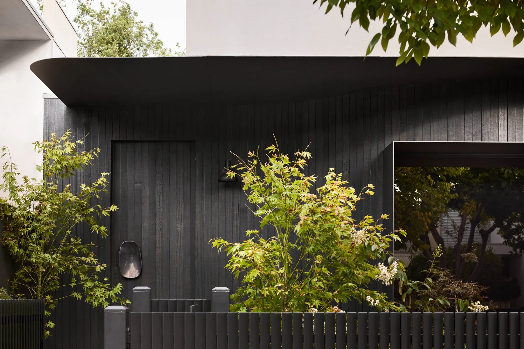 A minimalist residential exterior with a black door, green foliage, and a black fence.