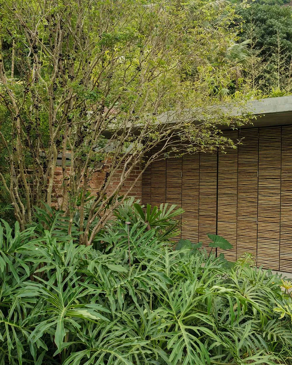 An outdoor landscape featuring a stone wall and a wooden structure.