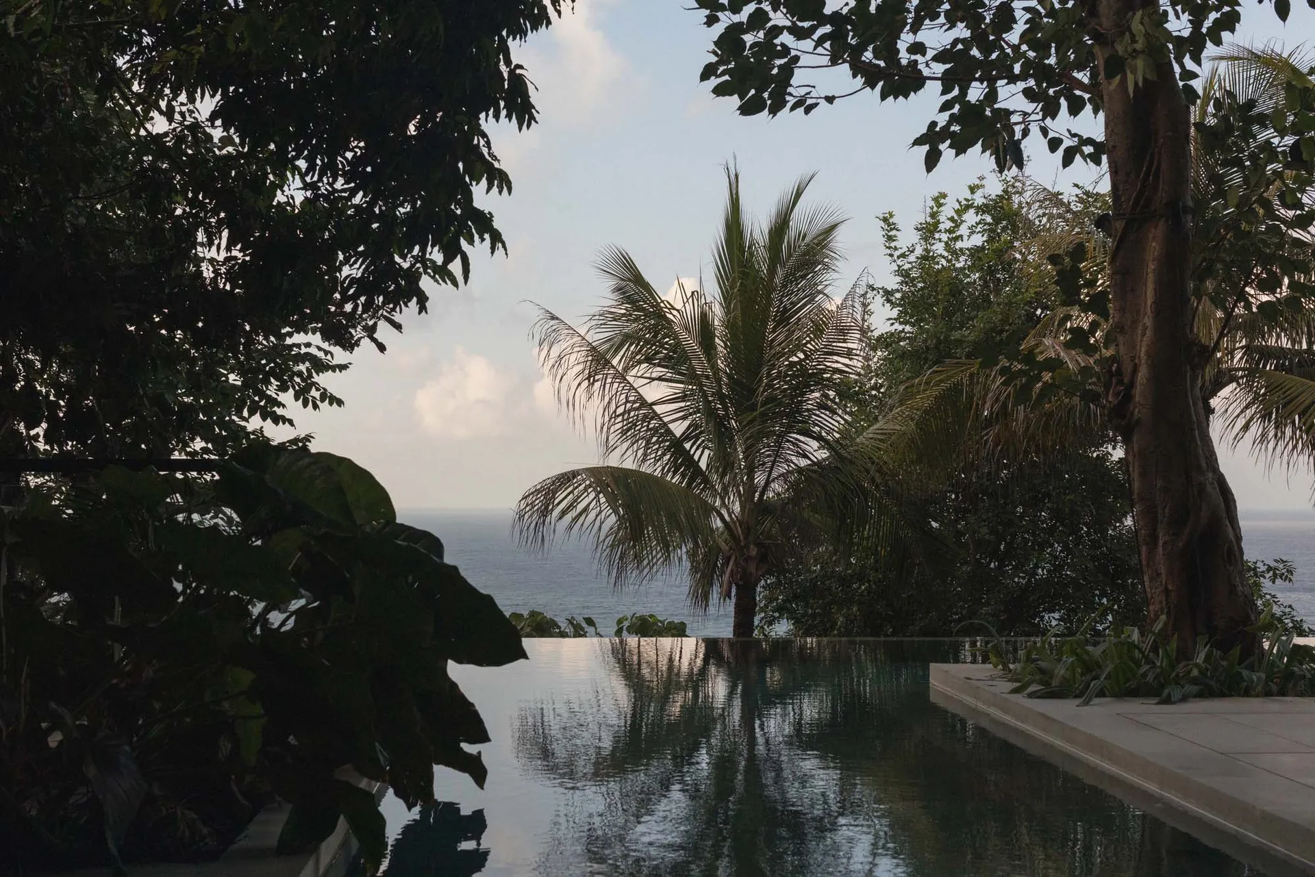 A serene tropical resort scene featuring a calm water feature surrounded by lush foliage and palm trees.