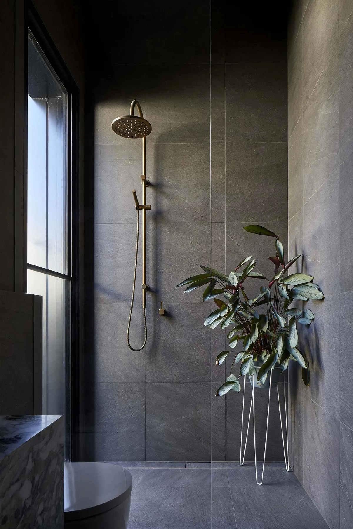 A modern bathroom featuring black concrete walls, a rainfall showerhead, and a potted plant.