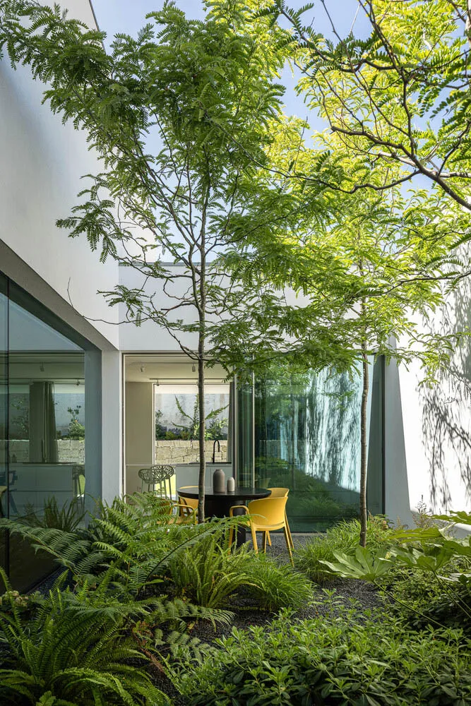 A minimalist outdoor space featuring a tree and yellow furniture.