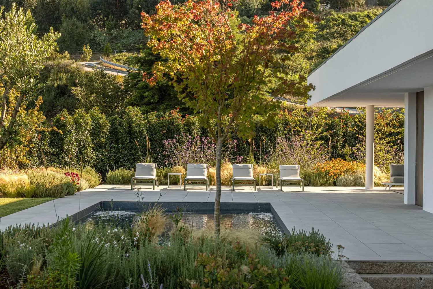 Modern villa garden patio with concrete floor and seating area surrounded by greenery and a small pond.