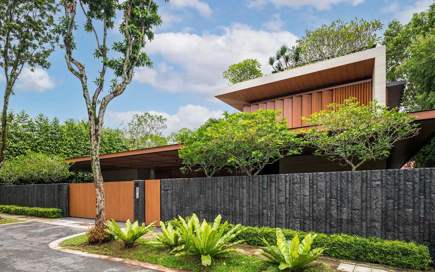 Modern house exterior with wooden accents, concrete walls, and green foliage