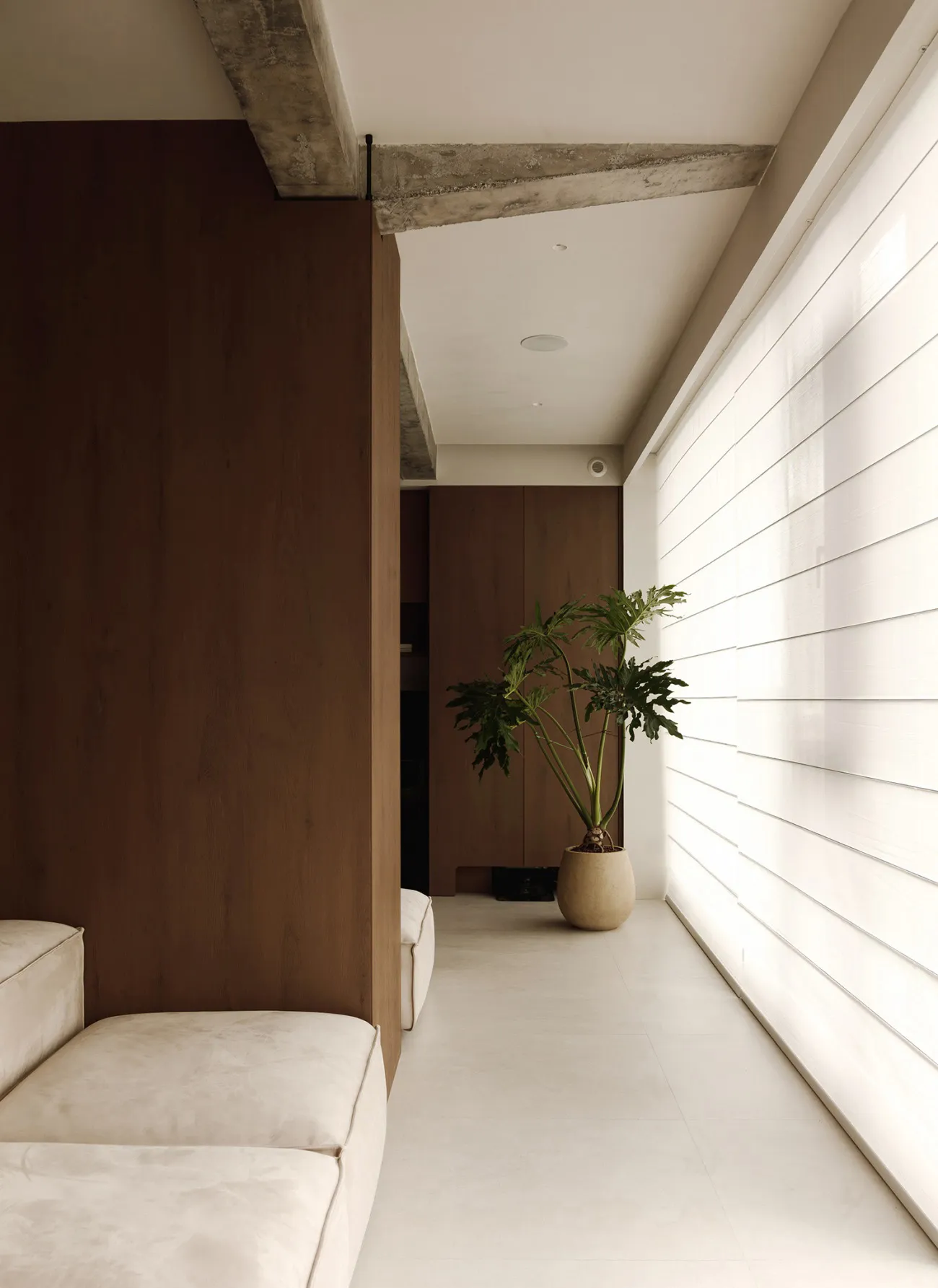 Modern living room interior with concrete walls, wooden furniture, and fabric seating