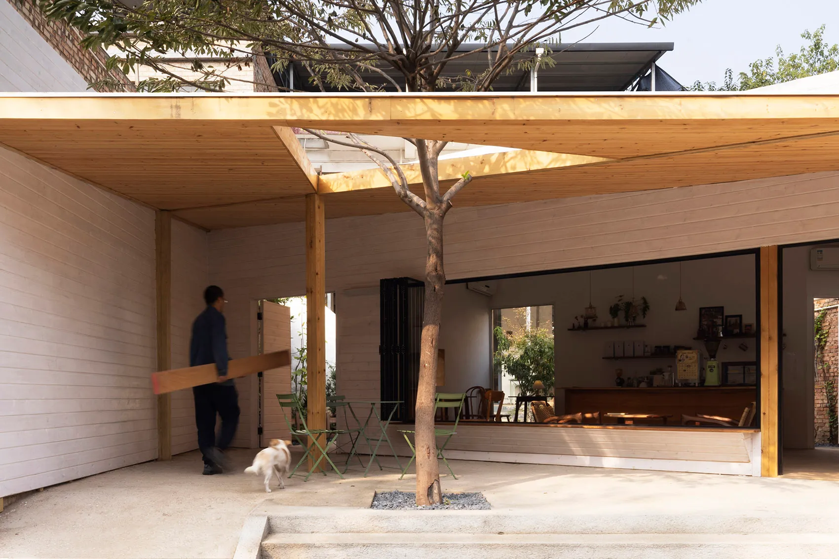 An open, minimalist coffee shop interior with wooden structures, greenery, and a tree planted indoors.