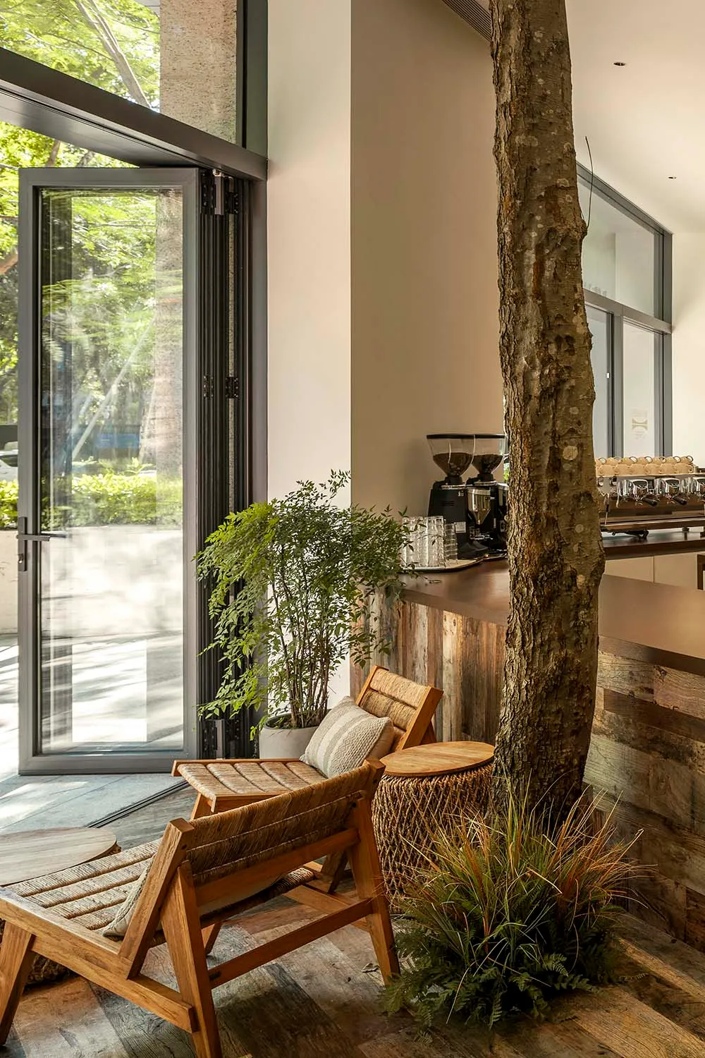 A modern coffee shop with wooden elements and indoor plants