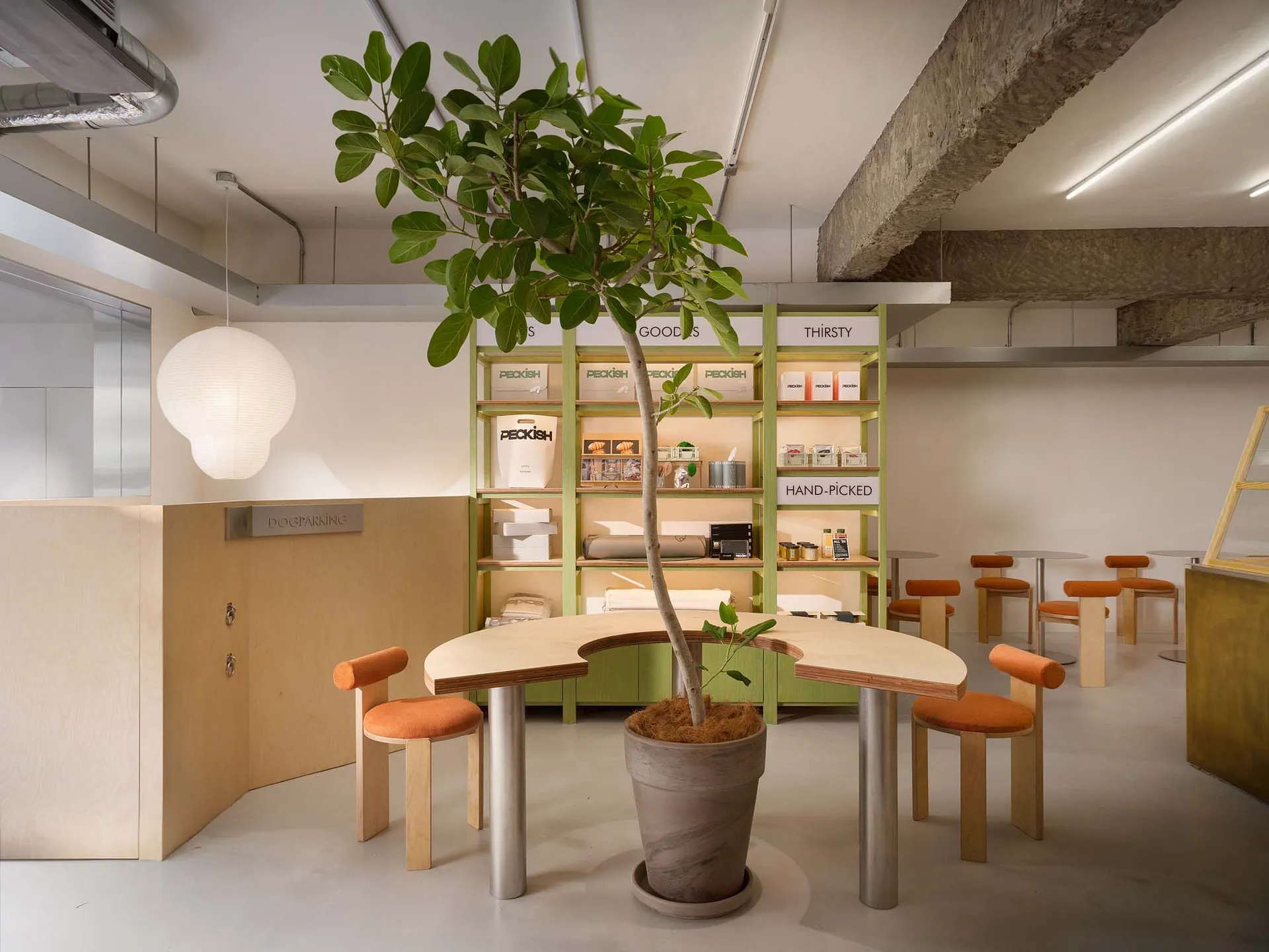 現代零售空間內的木質咖啡店室內,搭配盆栽、白吊燈與層架。