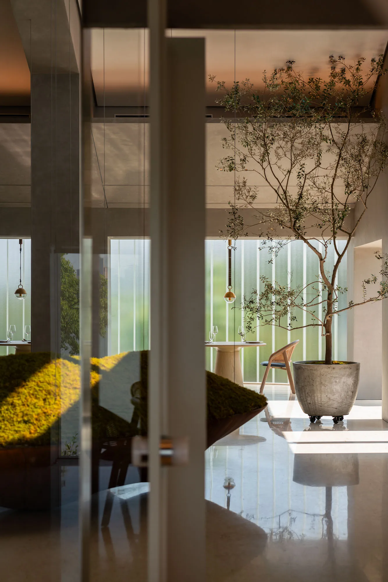 A modern restaurant interior with concrete and glass materials, featuring a table setting and a tree in a vase.