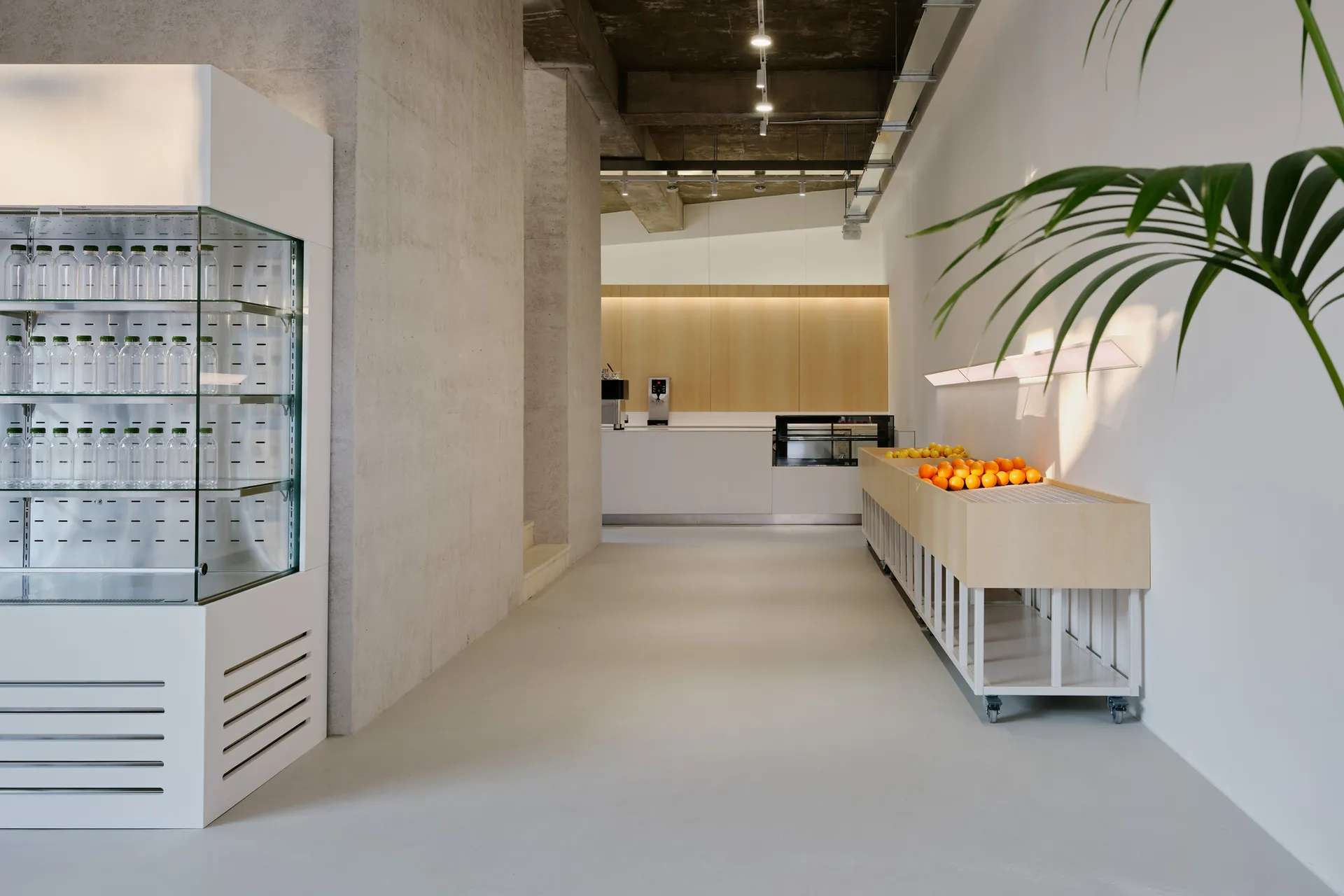 Minimalist cafe interior with white concrete walls and floors, featuring a transparent beverage display case and a wooden cou