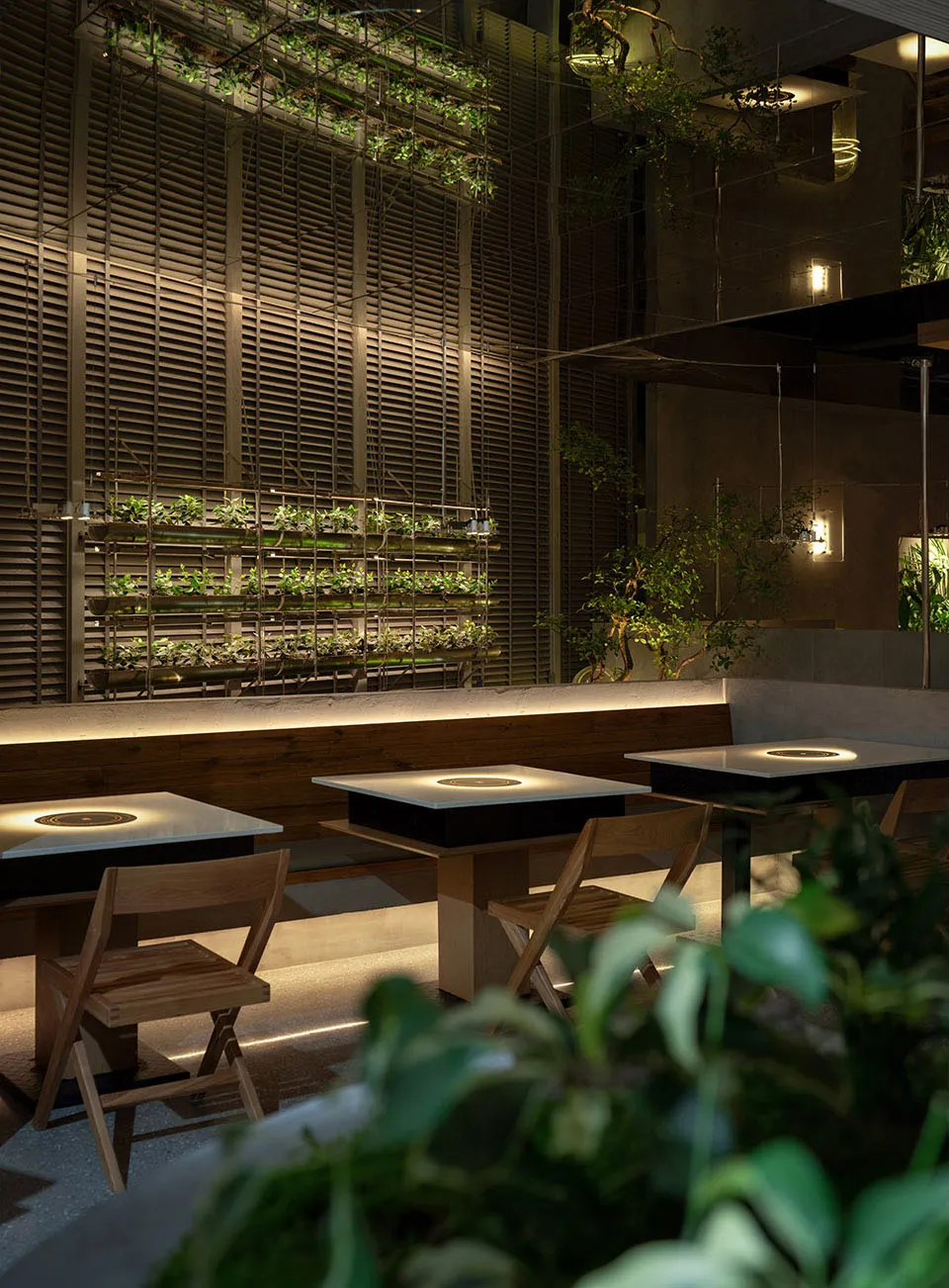 現代餐廳室內擺放室內植物，搭配玻璃牆與木質家具。