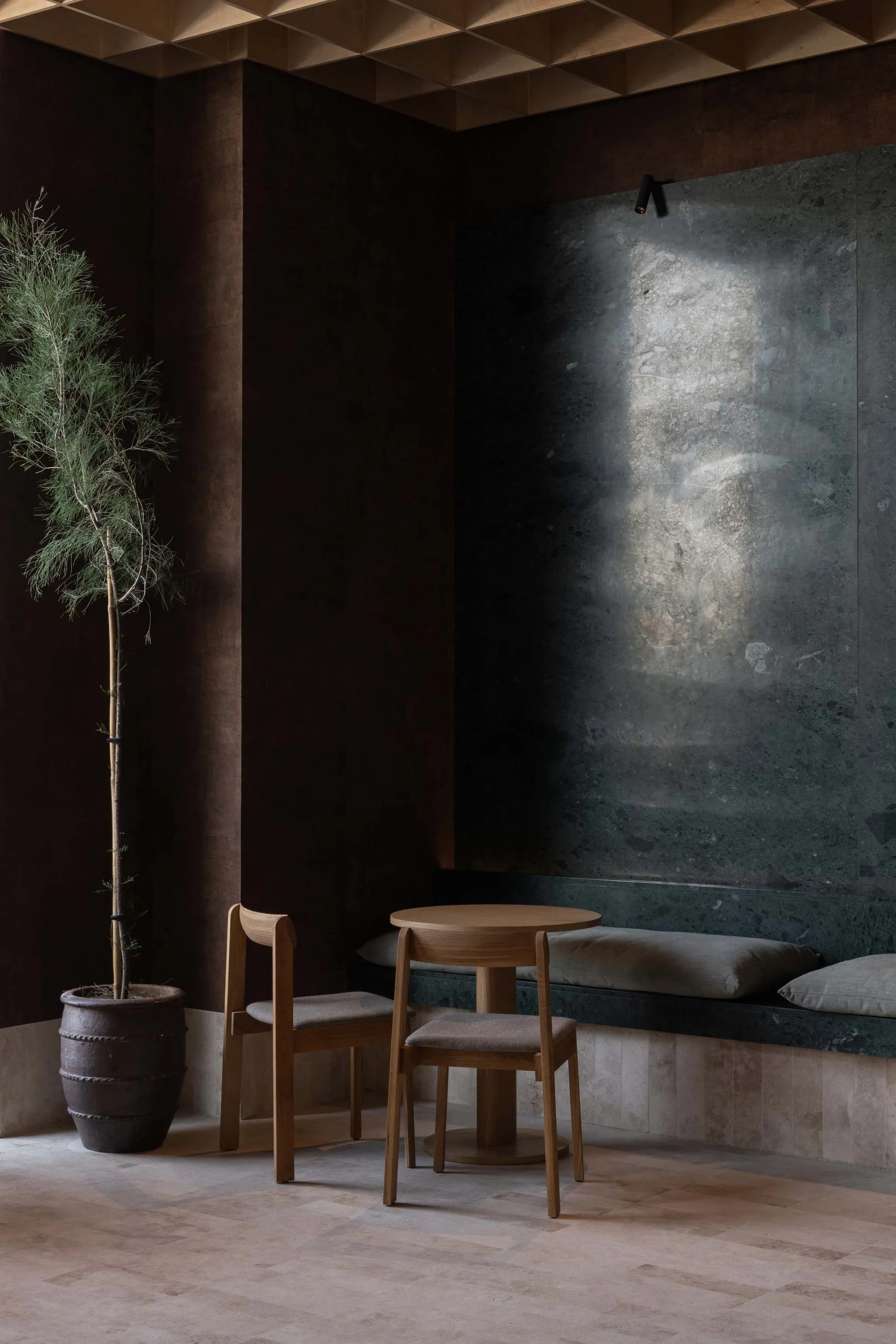 A modern cafe interior featuring a concrete table with a chair, a wall with a sunlit geometric design, and a potted plant.