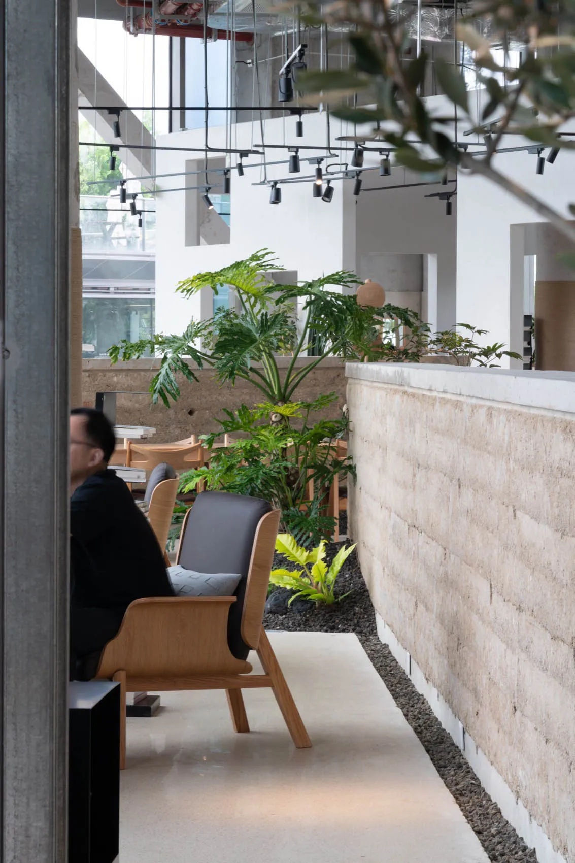 Modern interior design featuring empty seating areas with concrete walls and lush green plants.