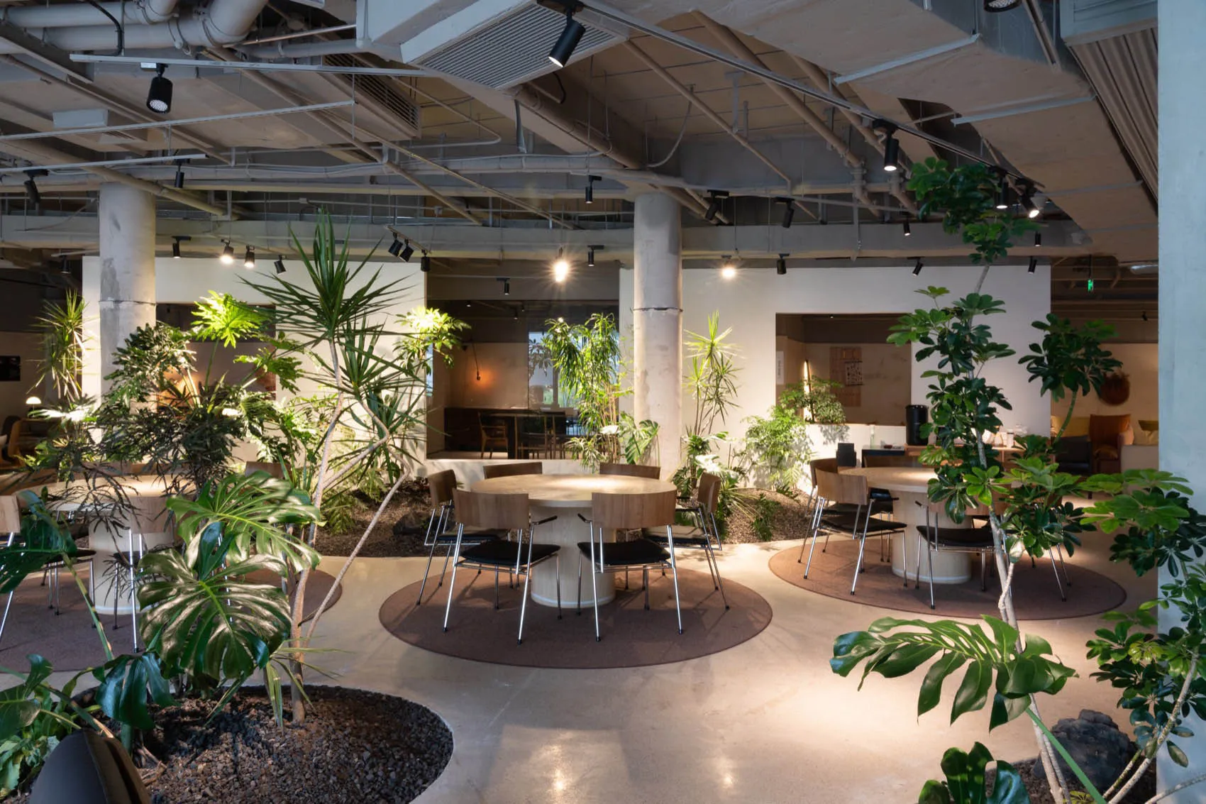 A modern industrial coworking space with concrete walls and ceiling, featuring round tables, chairs, and lush green plants.