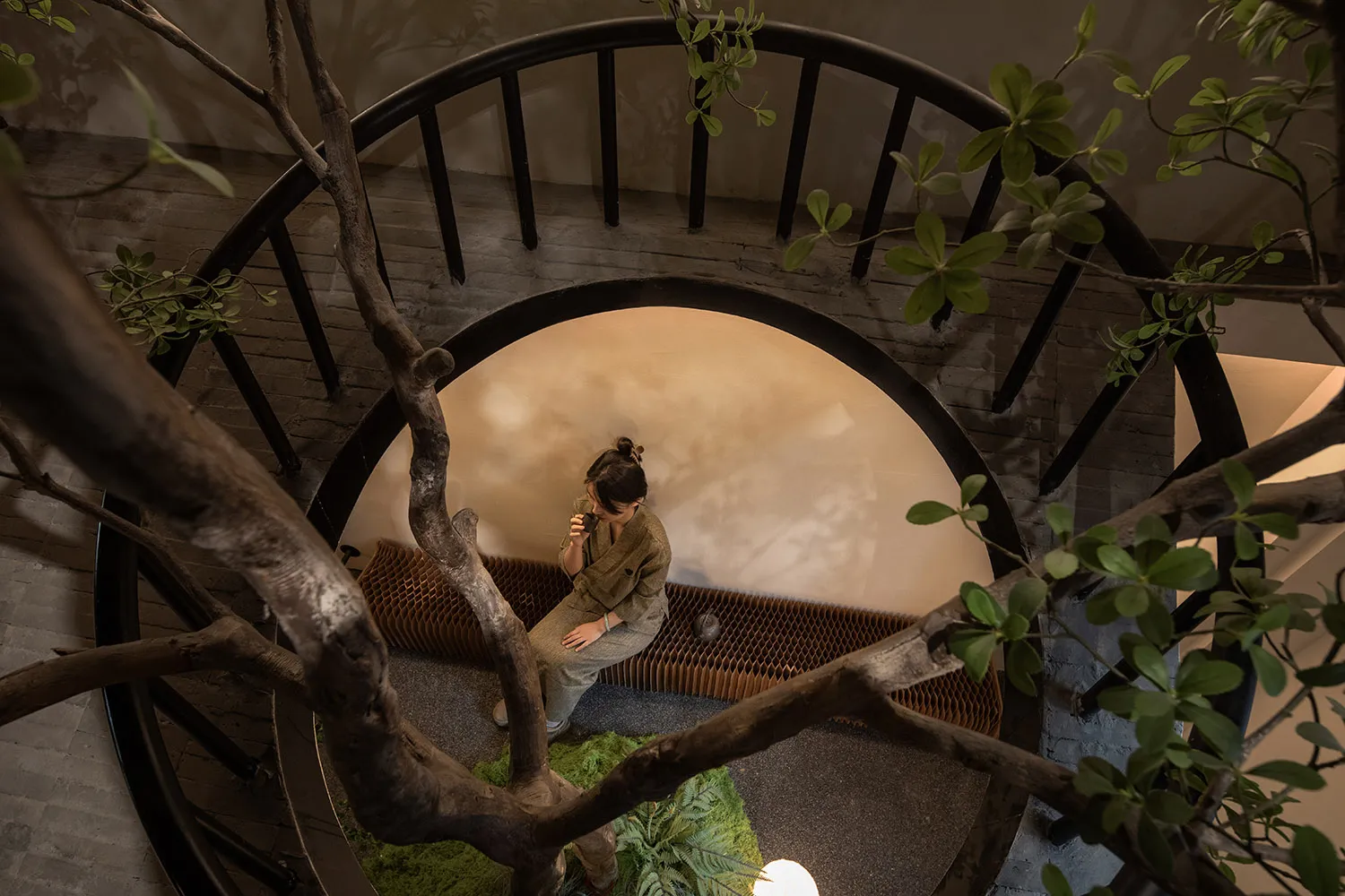A modern tree lounge interior with a woman sitting indoors, surrounded by greenery and natural light.