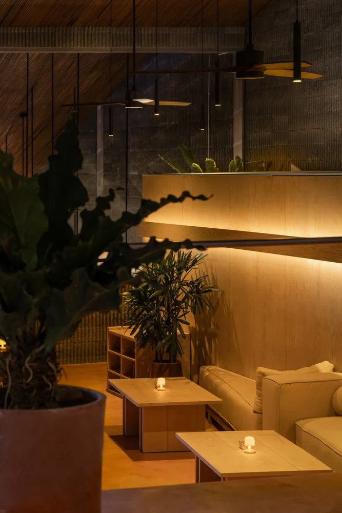 Modern restaurant interior with wooden furniture, potted plants, and warm lighting.