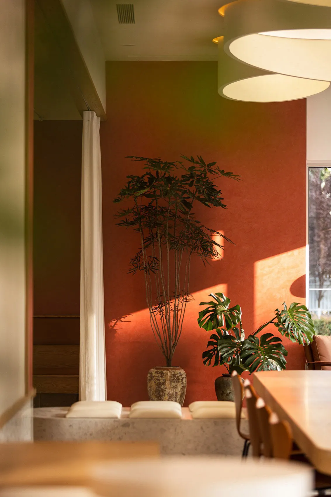 Modern living room featuring potted plants on a wood floor and a red wall behind them.