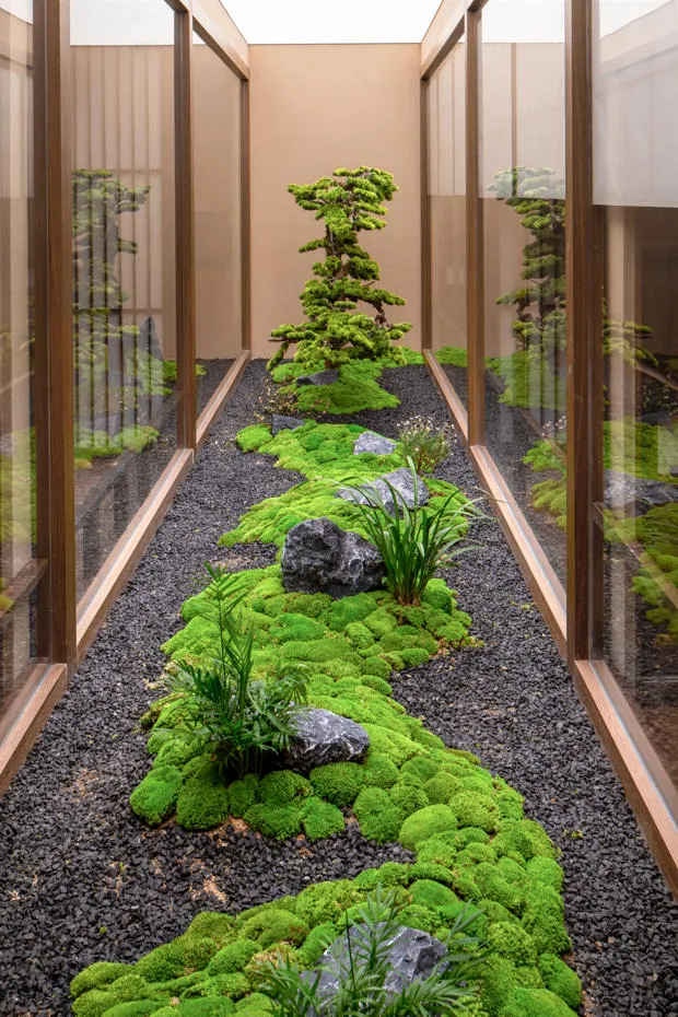 A modern indoor garden pathway featuring green moss, rocks, and plants.