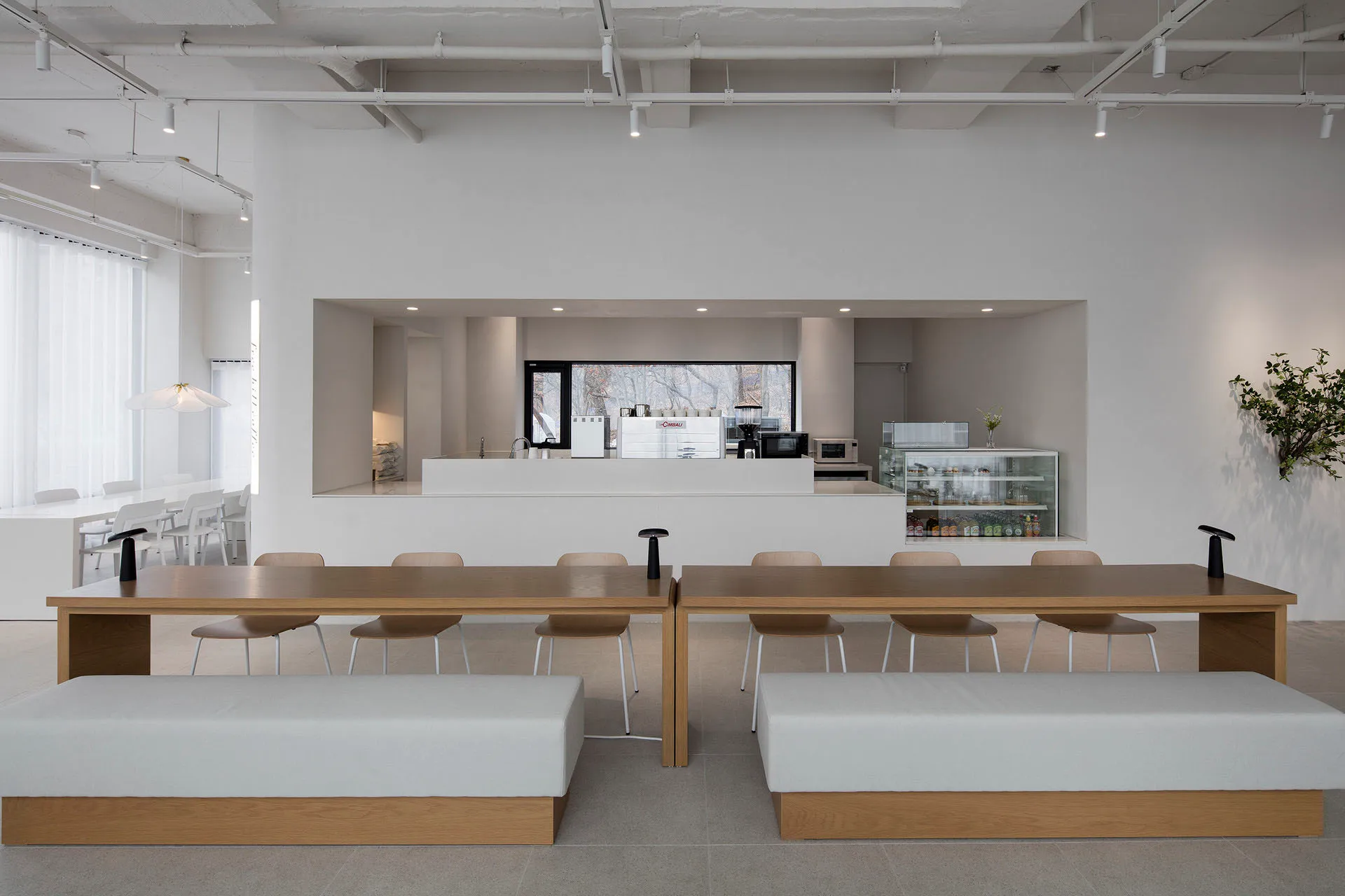 Modern minimalist coffee shop with wooden furniture and white walls.