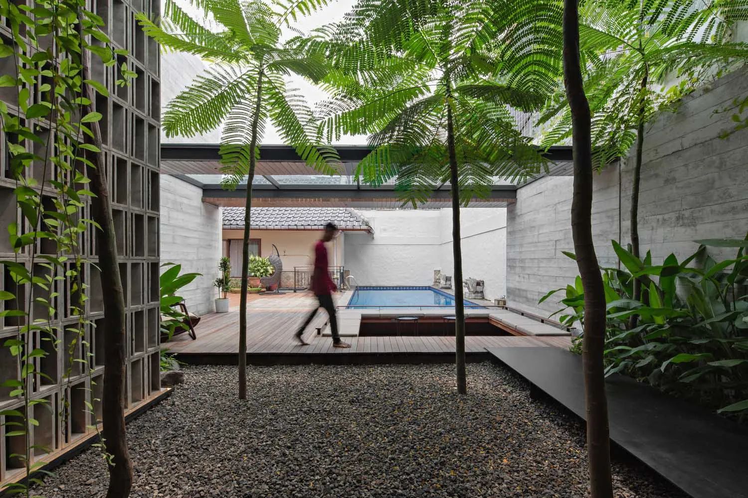 A minimalist residential patio with a pool and wooden deck surrounded by concrete walls and plants.