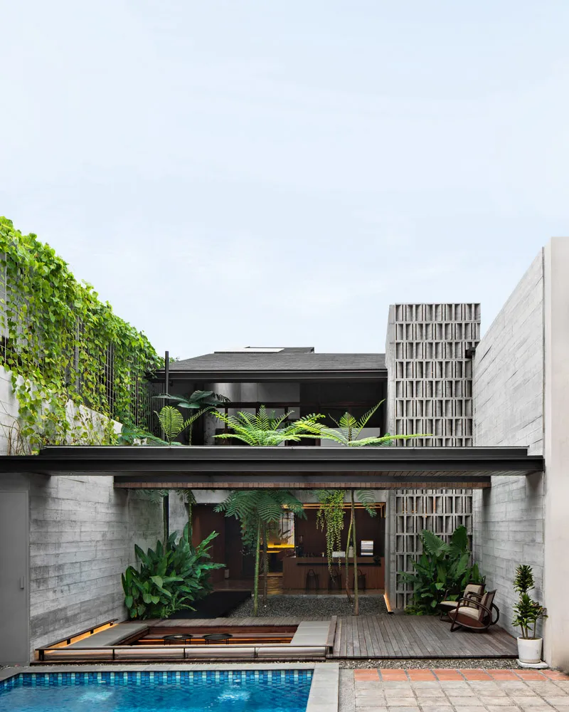 A modern residential interior with concrete walls, glass windows, and a garden filled with greenery.
