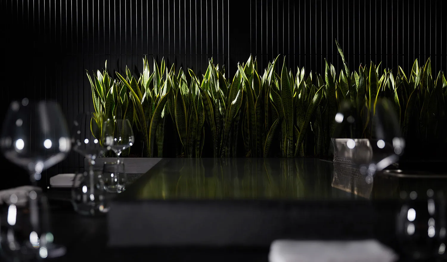 Modern restaurant bar with black glass countertop and green foliage decor.