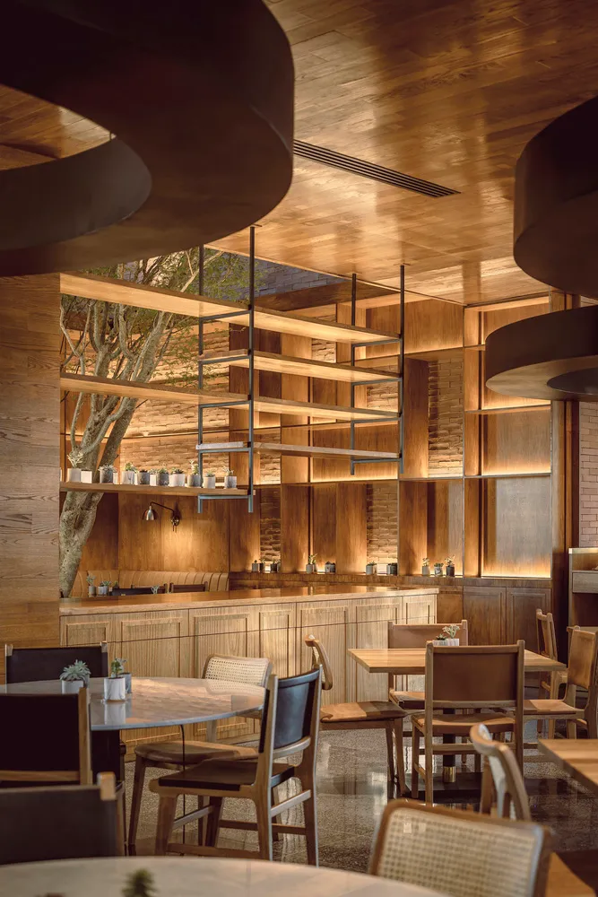 Modern restaurant bar featuring wooden shelves and decor.