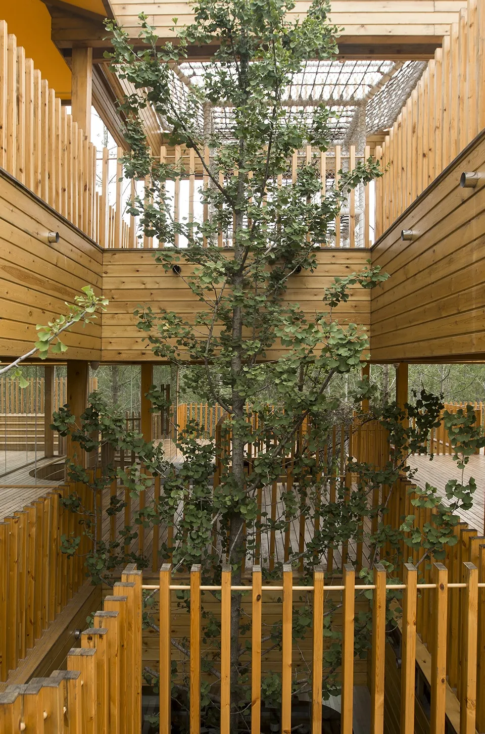 A modern industrial living room with a large tree planted in the center of the room, surrounded by wooden floorboards and wal