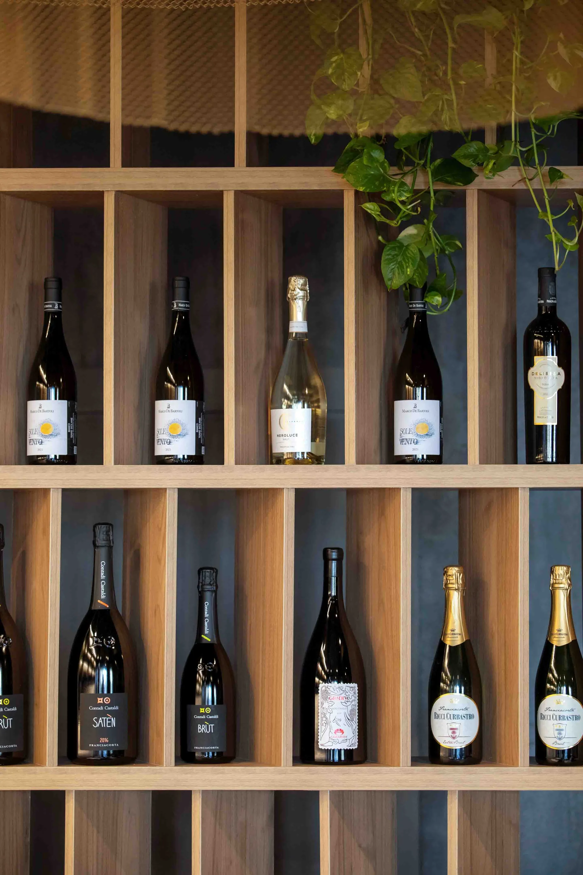 Wine bottles arranged on a wooden shelf with greenery hanging overhead.