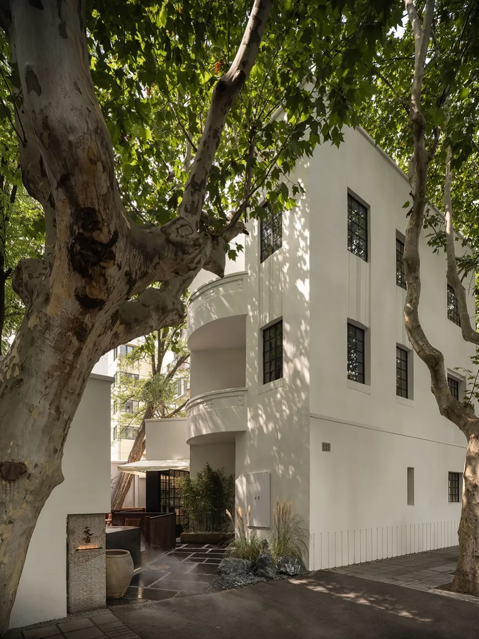 Minimalist building exterior painted white with green foliage hanging from above.