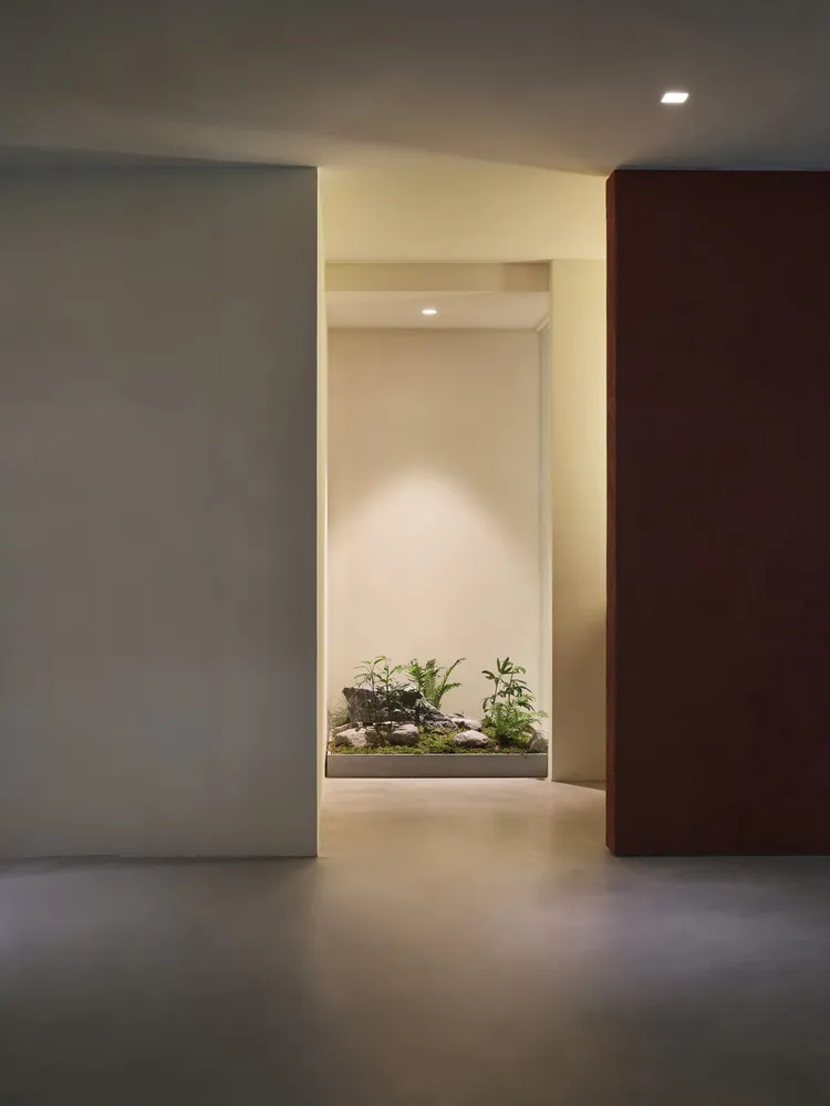 A modern hallway features greenery on a concrete floor and wall.