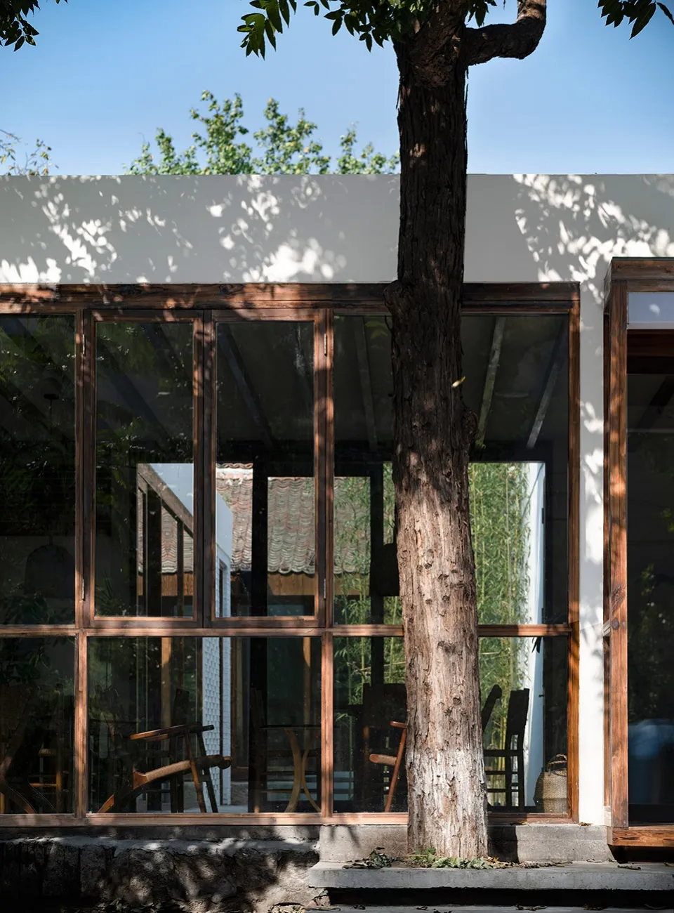 Modern house exterior with large glass windows, wooden frame, and a tree in front of it.