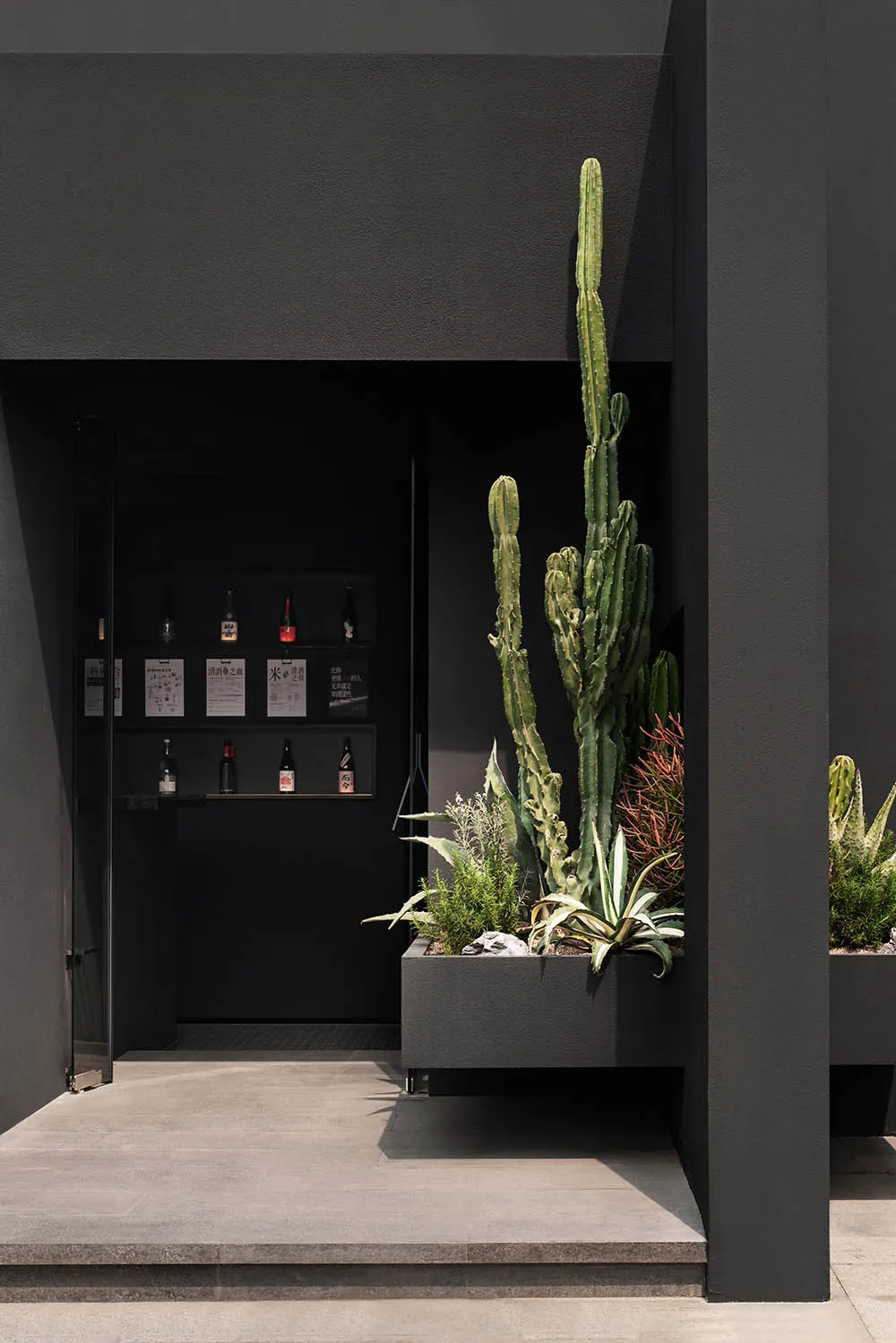 Concrete planter with cactus and succulents in front of modern entryway