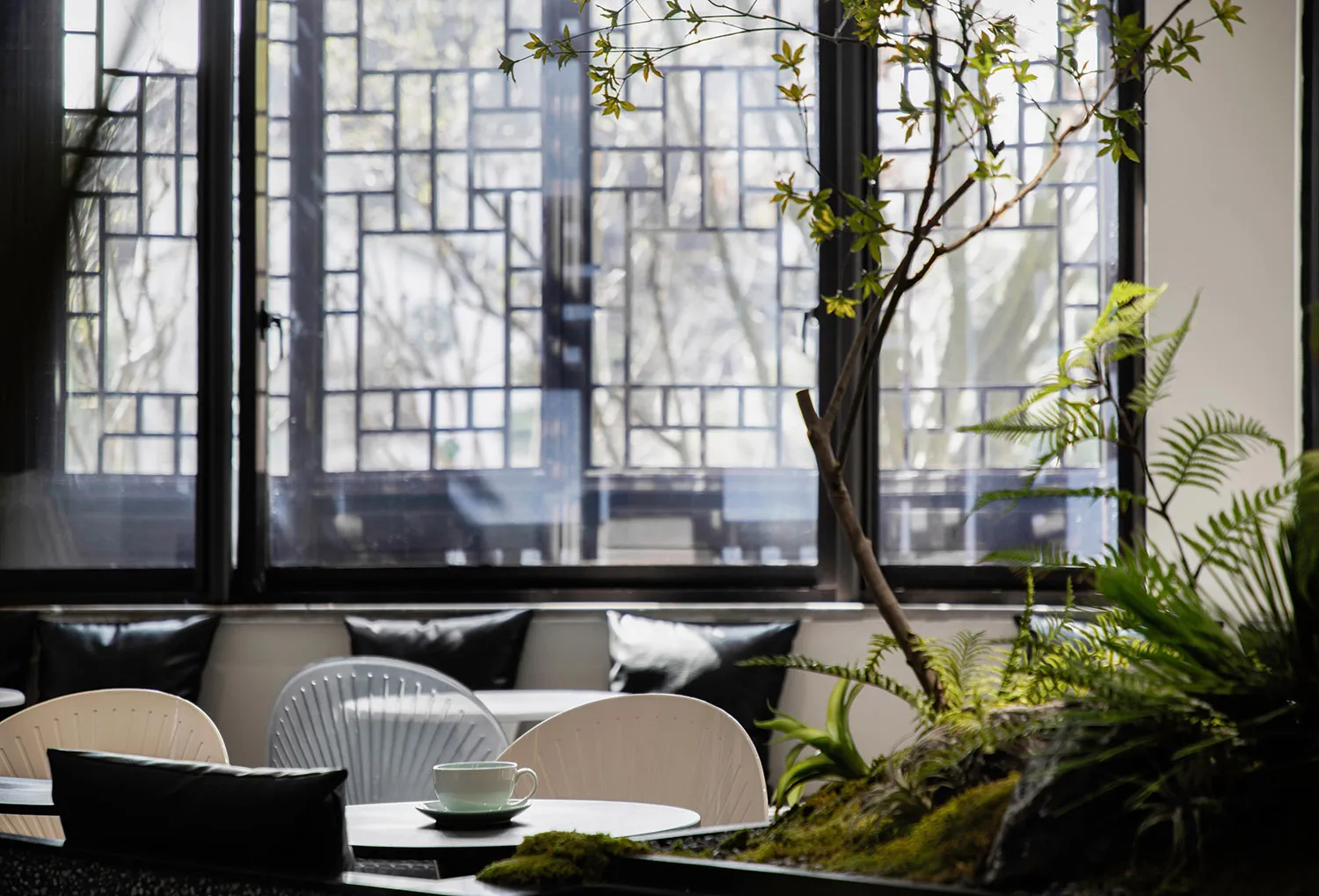 A modern coffee shop with industrial-style windows and plants.
