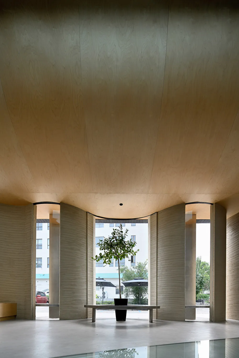 A minimalist lobby with wooden elements, featuring a tree on a table.