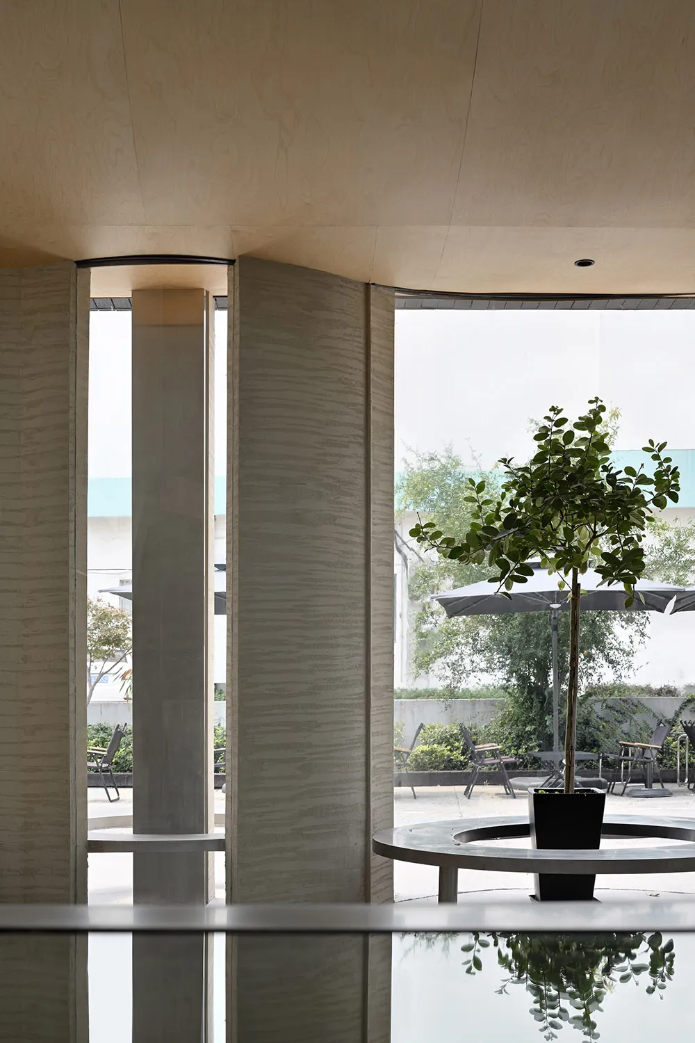 A minimalist office space with concrete walls and a potted plant.