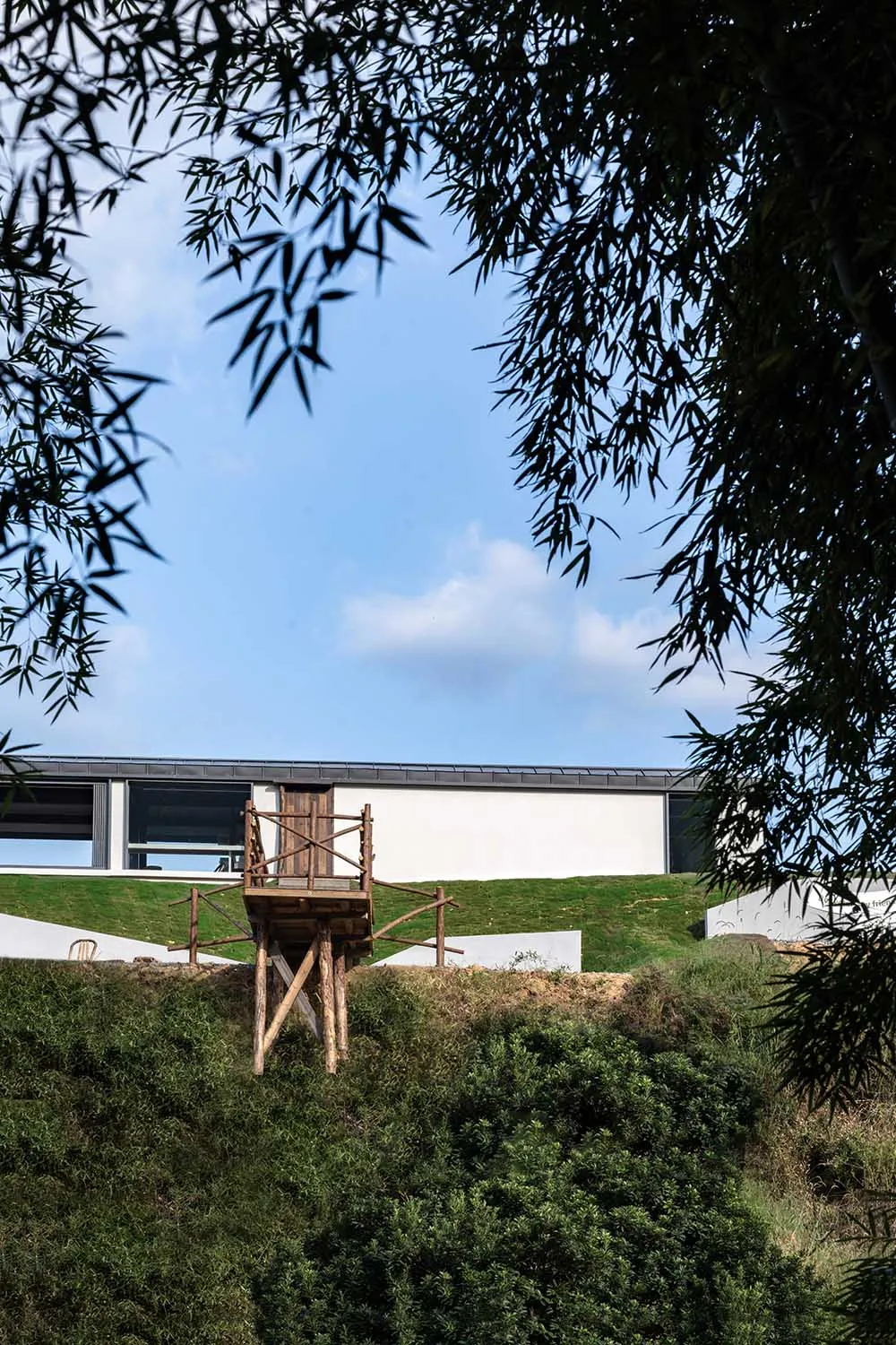 綠意山坡上的木質平台與結構體。
