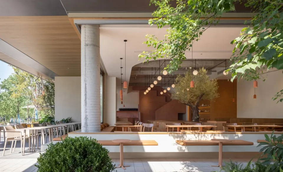 A minimalist restaurant interior with concrete walls, wooden furniture, and a large tree.