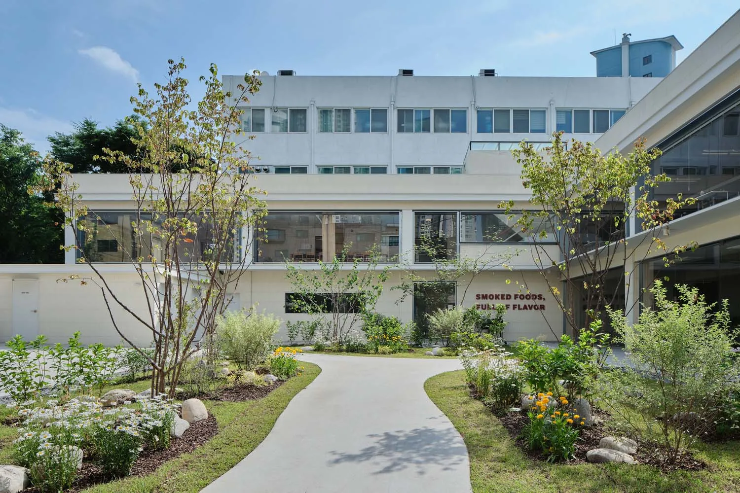 A modern office space with concrete walls, glass windows, and green plants.
