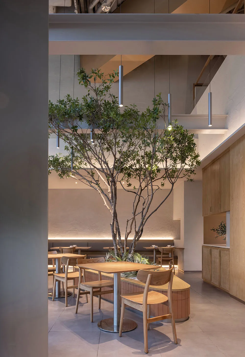 Modern restaurant interior featuring wooden tables, chairs, and a potted plant.