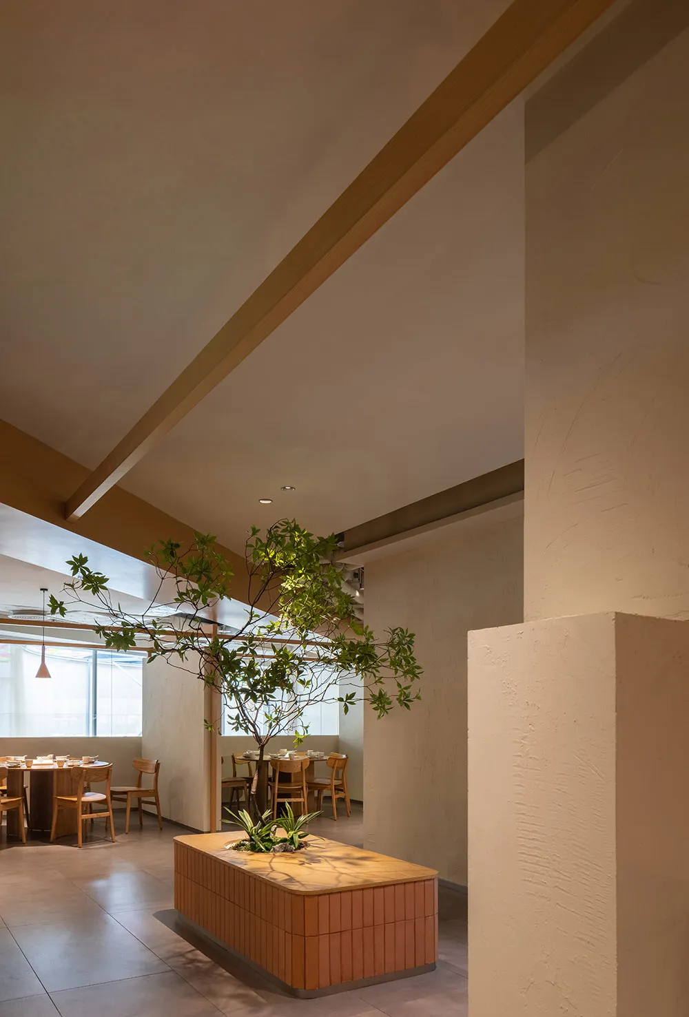 Modern restaurant interior with wooden tables and chairs, concrete flooring, and a live tree in the center, featuring sleek a