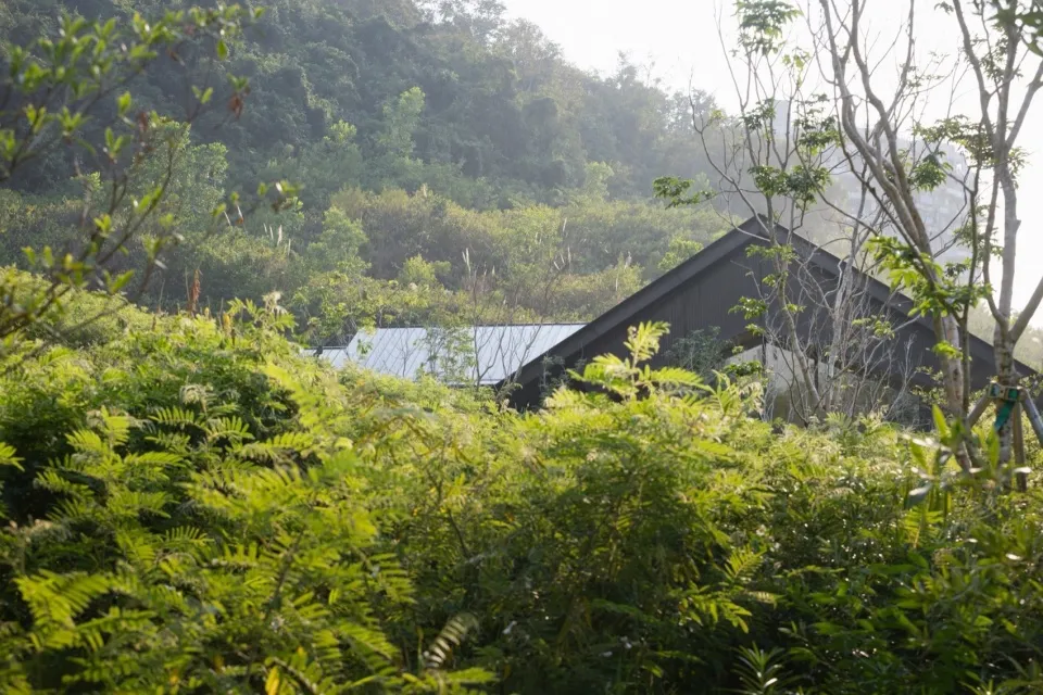A picturesque rural landscape featuring a modern architecture building surrounded by lush greenery with a sloping roof.