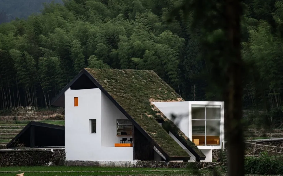 A modern house with a grass-covered roof, white exterior, and large glass windows surrounded by greenery.