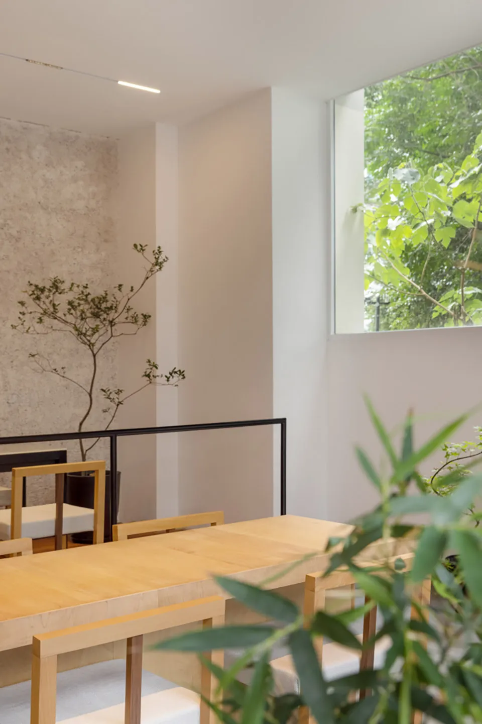 Modern restaurant interior with wooden tables and chairs, large window showcasing outdoor greenery.